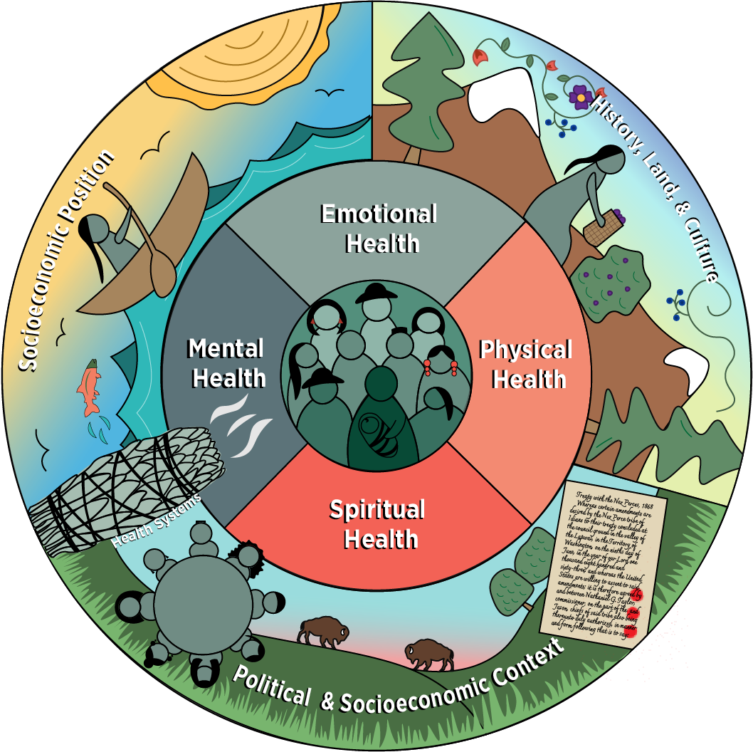 Indigenous Determinants of Health & Equity Framework — The Raven